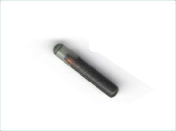 LF 125KHz Pet ID Microchip Tags , RFID Glass Capsule Tag Read / Write Chip Type