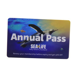 Rewritable PVC RFID Smart Chip Card 125KHz Customized Shape Frosted Surface