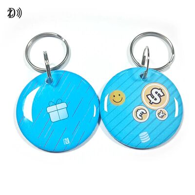 Custom 13.56MHz Programmable NTAG213 Smart Epoxy Keyfob Tags RFID Tag NFC Keychain