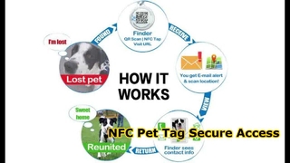 RFID epoxy pet tag